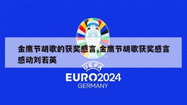 金鹰节胡歌的获奖感言,金鹰节胡歌获奖感言感动刘若英