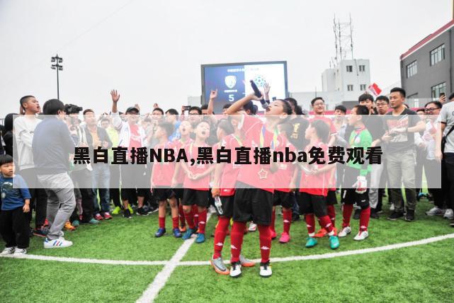 黑白直播NBA,黑白直播nba免费观看