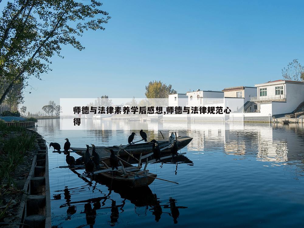 师德与法律素养学后感想,师德与法律规范心得