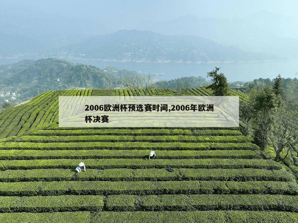 2006欧洲杯预选赛时间,2006年欧洲杯决赛