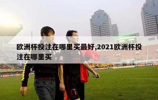 欧洲杯投注在哪里买最好,2021欧洲杯投注在哪里买