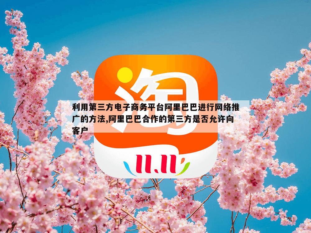 利用第三方电子商务平台阿里巴巴进行网络推广的方法,阿里巴巴合作的第三方是否允许向客户