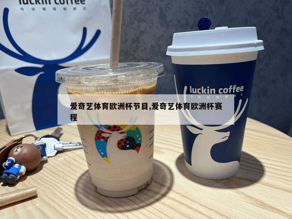 爱奇艺体育欧洲杯节目,爱奇艺体育欧洲杯赛程