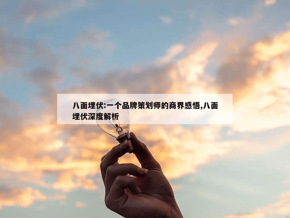 八面埋伏:一个品牌策划师的商界感悟,八面埋伏深度解析