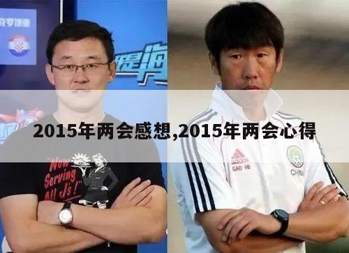 2015年两会感想,2015年两会心得